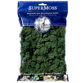 Moss Preserved - Reindeer Forest  4OZ - 10X11IN BAG