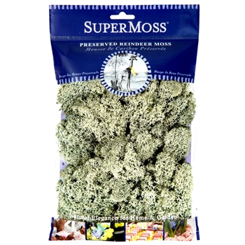 Moss Preserved - Reindeer Moss 2OZ - 6X8IN Bag