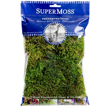 Moss Preserved - Forest Natural Green 4OZ 10x11in Bag