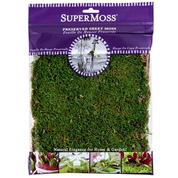 Moss Preserved - Sheet Moss Natural Green 4OZ  10x11in Bag