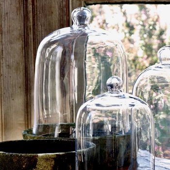 Cloche - Classic Bell Jar Clear XL 12W/16H