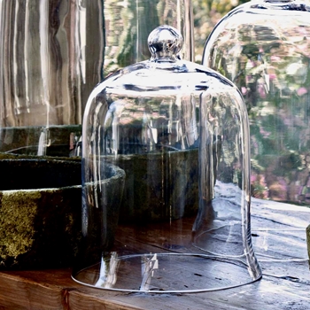 Cloche - Classic Bell Jar Clear LG 9W/12H