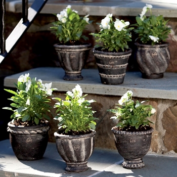 Planter - Wakefield Handmade Mini Black Earth Pot 4W/3.5H - Sold Individually