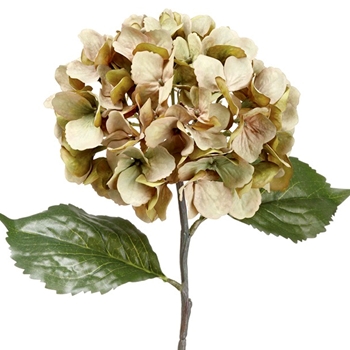 Hydrangea - Flax 26in - FSH701-GR/AV