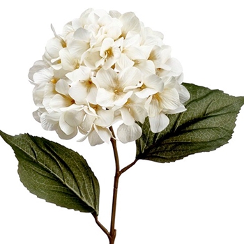 Hydrangea - Ivory 29in - ZGB624-IV