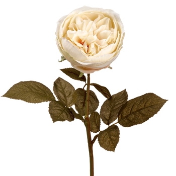 Rose - English Ivory 27in - FSR258-ES