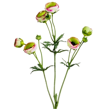 Ranunculus - Bells Spray 25in Pink Tip - FSR411-PU/GR