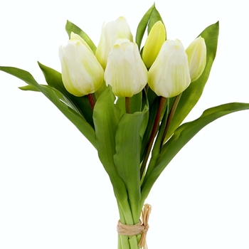 Tulip - Bundle X6 White 12in - FBQ165-WH -,REAL TOUCH