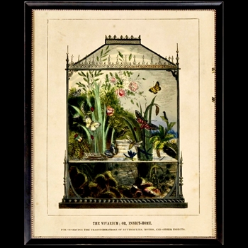 26W/32H Framed Glass Print - Vivarium Bookplate