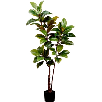 Magnolia - Tree 59in Black Plastic Pot - LTM279-GR