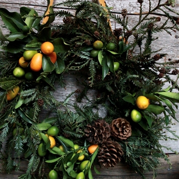 Wreath - Sarah Ryhanen