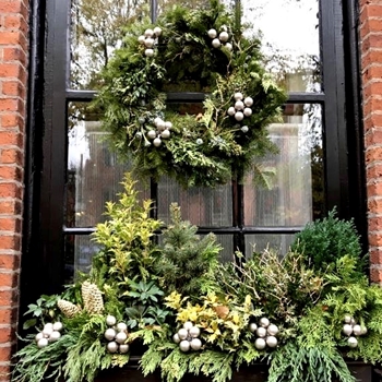 Wreath - Wisteria & Rose