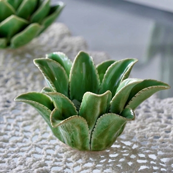 *Tealight Holder - Agave Low Green 7W/5H