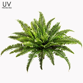 Fern - UVP Boston Plant 23IN Kiwi - UV Protected - PBF434-GR