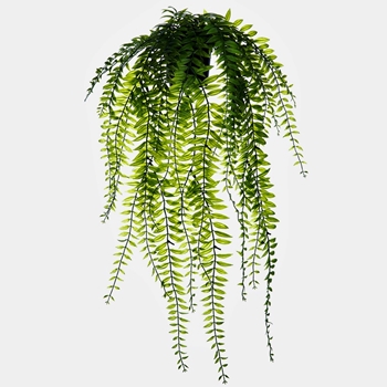 Fern - Sword Cascade in Pot Lime Green 25in - LQF572-GR