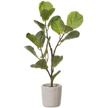 *Fiddle Leaf - Topiary - Green in White Pot 27in - LPF213-GR