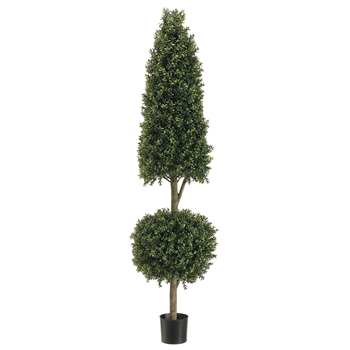 *Boxwood - Topiary Ball Cone 6ft - LPB295-GR/TT