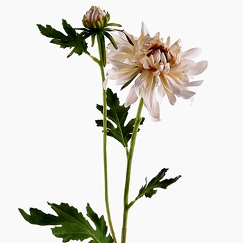 *Mum - Mop W/Bud 28in Blush - FSM353-PE/PK