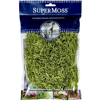 Moss Preserved - Spanish Basil 4OZ 10X11IN BAG