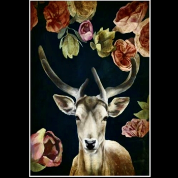 56W/81H Framed Giclee - Wild Bouquet VII  White Gallery Float,  Sarah Atkinson