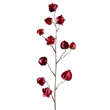 Chinese Lantern - Spray 32in Petal Bordeaux - FSC001-RE