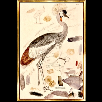 17W/25H Framed Print Lear Crowned Crane SM