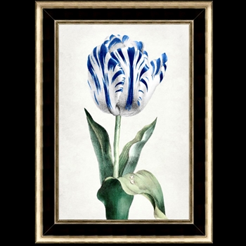 *16W/22H Glass Framed Matte Paper - Spring Tulip 2 - Black/Gold MC1974 Frame - Lillian August