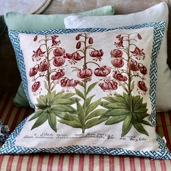 *John Derian - Crown Lily Sepia Cushion 20SQ  Linen Cotton, Down Insert