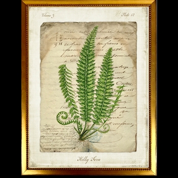 10W/12H Framed Glass Print - Fern Script A Holly - Gold Beaded Frame