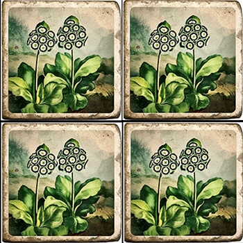 Coaster - Tumbled Marble Set4 - Primula Flora