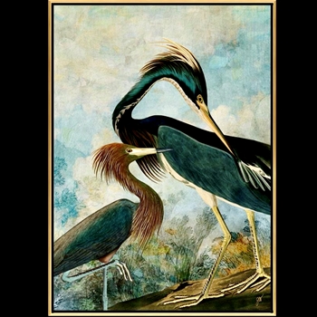 56W/78H Framed Giclee - Audubon - Herons - Gold Gallery Float - Jackie Von Tobel. Available sizes - 16x22, 20x28, 24x34, 30x42, 36x50, 40x56, 47x66, 54x76