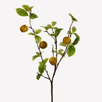 *Apple Branch - 31in VSA311-GR