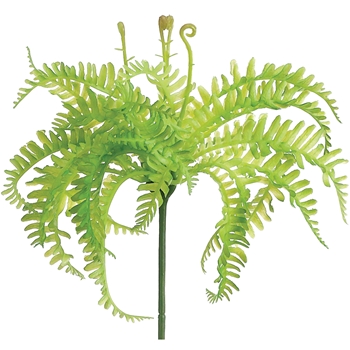 Fern - Soft Lime Green Mini Plant 8in  PKT575-GR