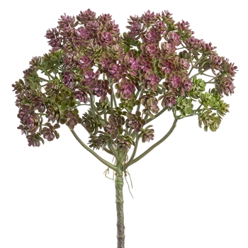 Sedum Head Pick Plum 12.5in CBS-363-PU/GR