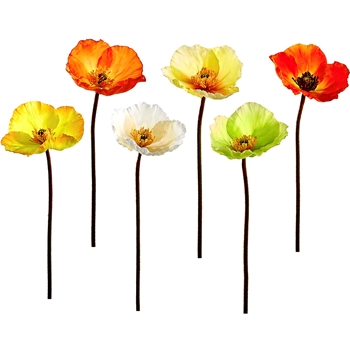 Poppy - Assorted 6 Jewel Colours 28in HSP475-ASST Sold Individually