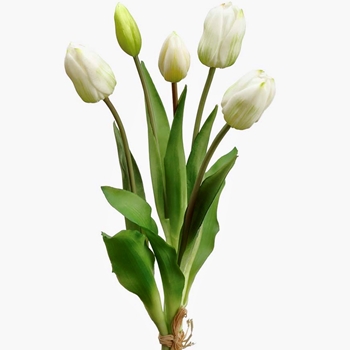 Tulip - Dutch Cream Green Bundle5 16in FBT004-CR/GR - Real Touch