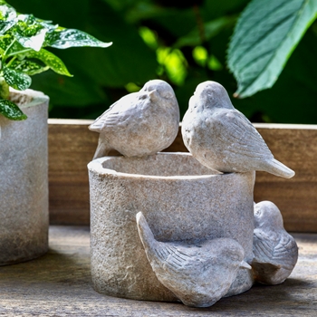 *Planter - Garden Birds Antique White SM 6x6x6H