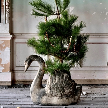 Planter - Swan 25x13x21H Resin Antiqued (tree shown is not included)