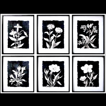 *24W/28H Framed Glass Print - Florals Black & White Float Asst 6 Sold Individually