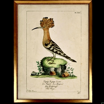 10W/12H Framed Glass Print - Vintage Plate F - Hoope Bird - Beaded Vintage Gold