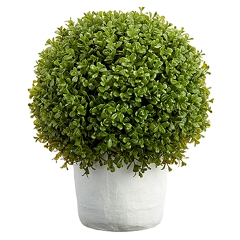 Boxwood - Topiary Globe 18in White Clay Pot - LPB017-GR
