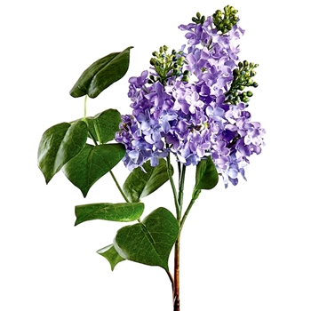Lilac - Leafy Violet Blue 4 Budding Blooms 26in - FSL200-LV