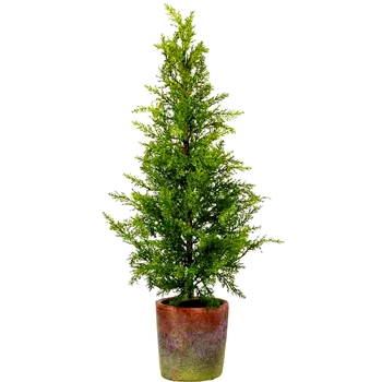 EVT - Cedar Tree Mini Terracotta Pot LG 32in - YTM443-GR