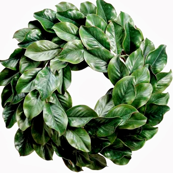 EVW - Magnolia Lux - Wreath Leaf 24in - PWM022-GR