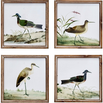 12W/12H Framed Print - Shore Birds - Sold Individually