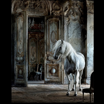 *28W/35H Giclee - Porter Art Guild -Passage To Celestial Stables