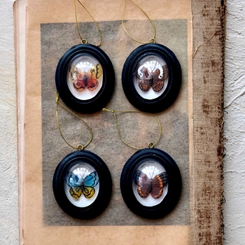 Ornament - Black Oval Glass Framed Butterflies 3.5in 4ast Sold Individually