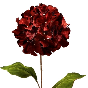 Hydrangea -  Velvet Shimmer Bordeux 29in - XFS624-PL