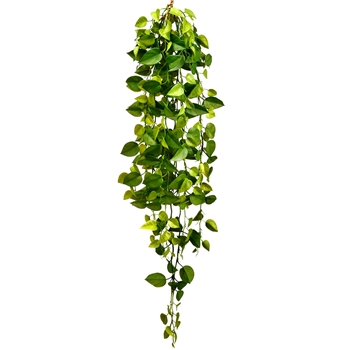 Philo - Cascade Plant Green 37in - PBP353-GR