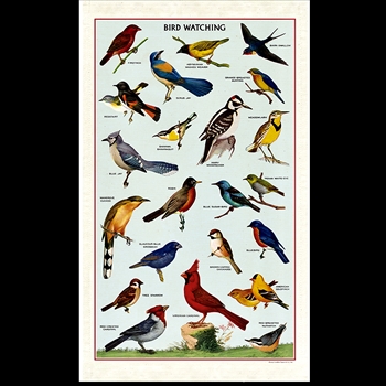 Tea Towel - Birdwatching 19x32 100% Cotton - Italy